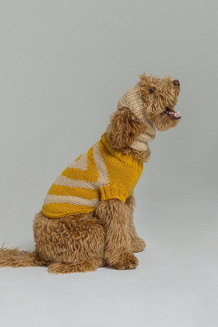 Yellow snail sweater