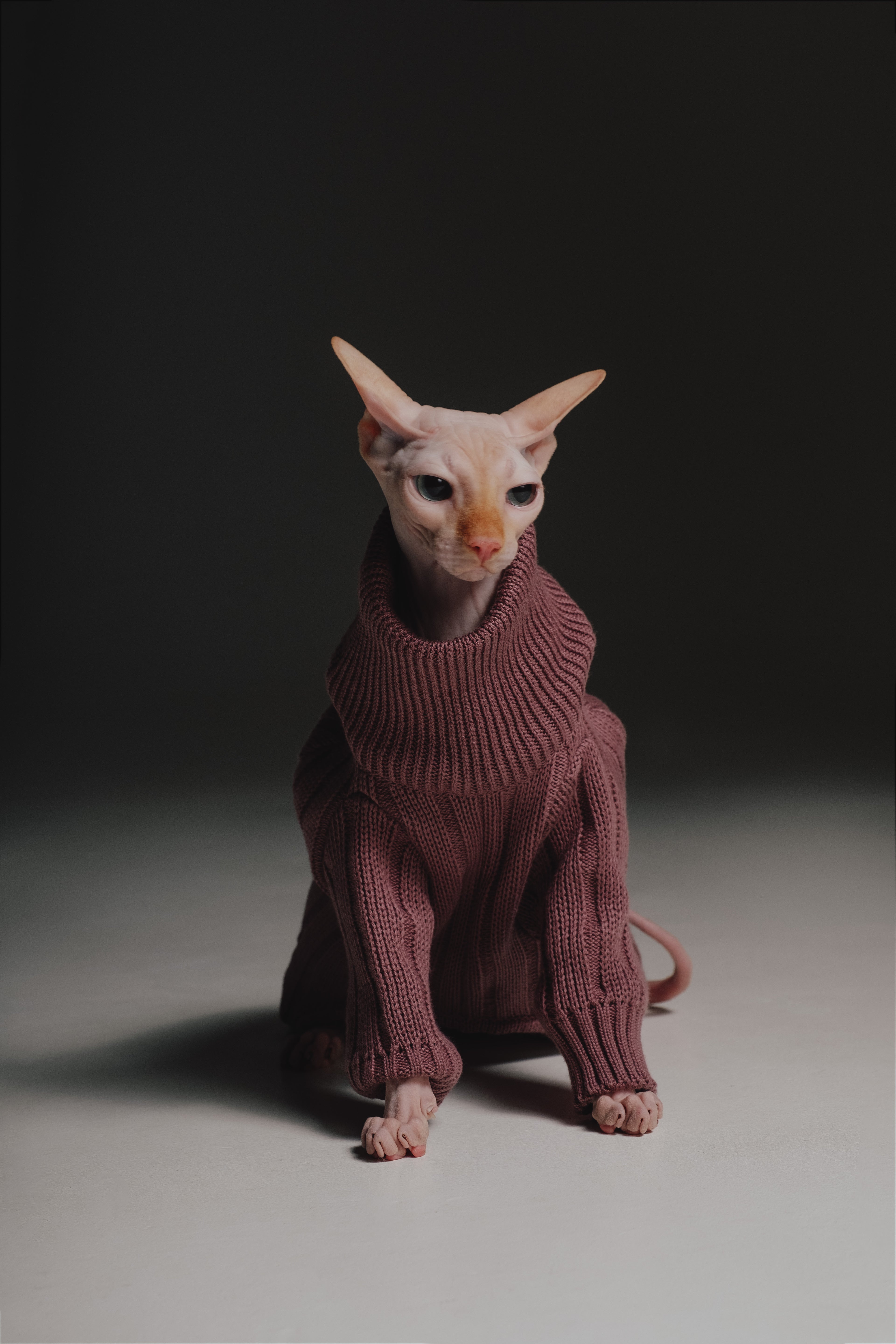 Lavender sweater