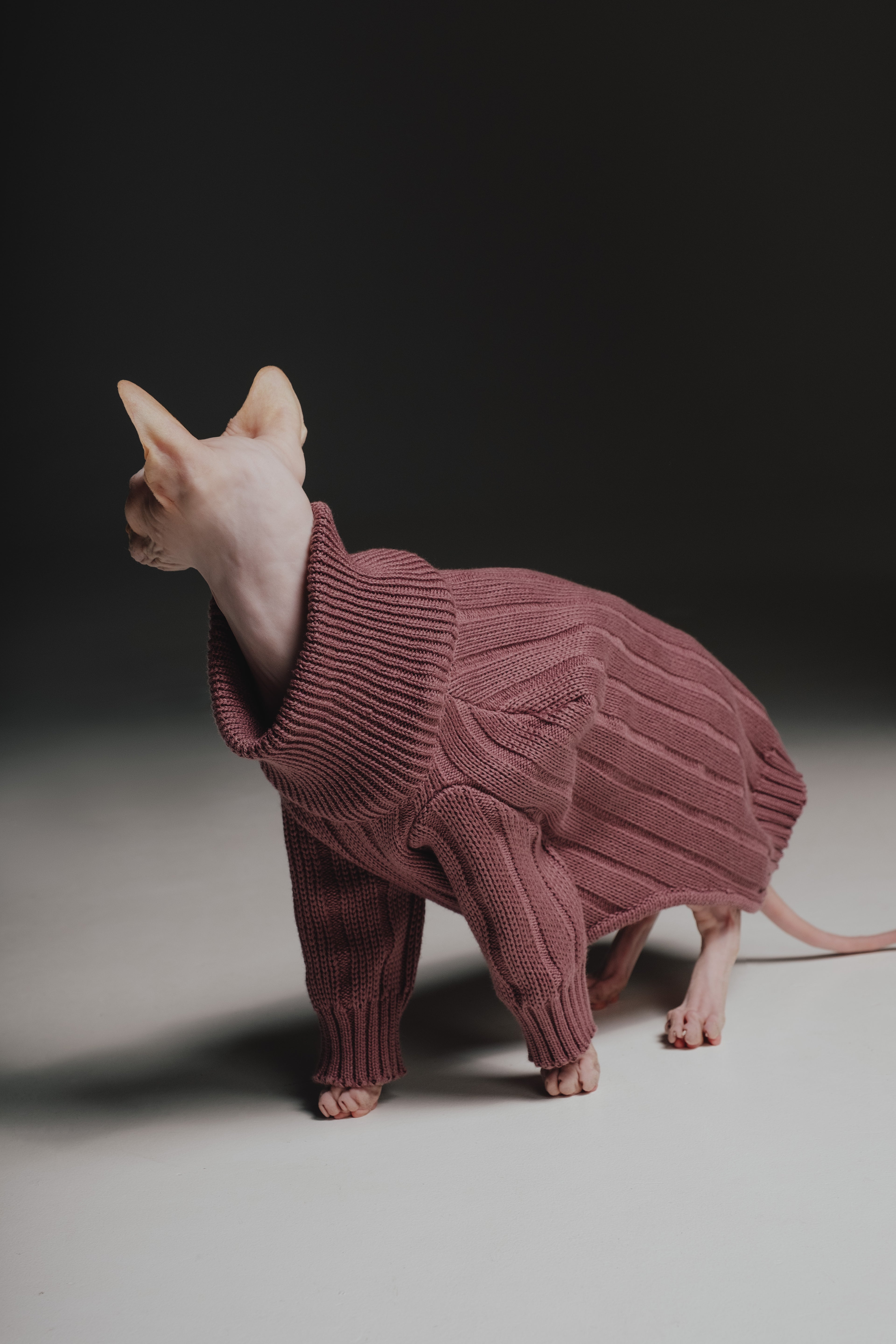 Lavender sweater