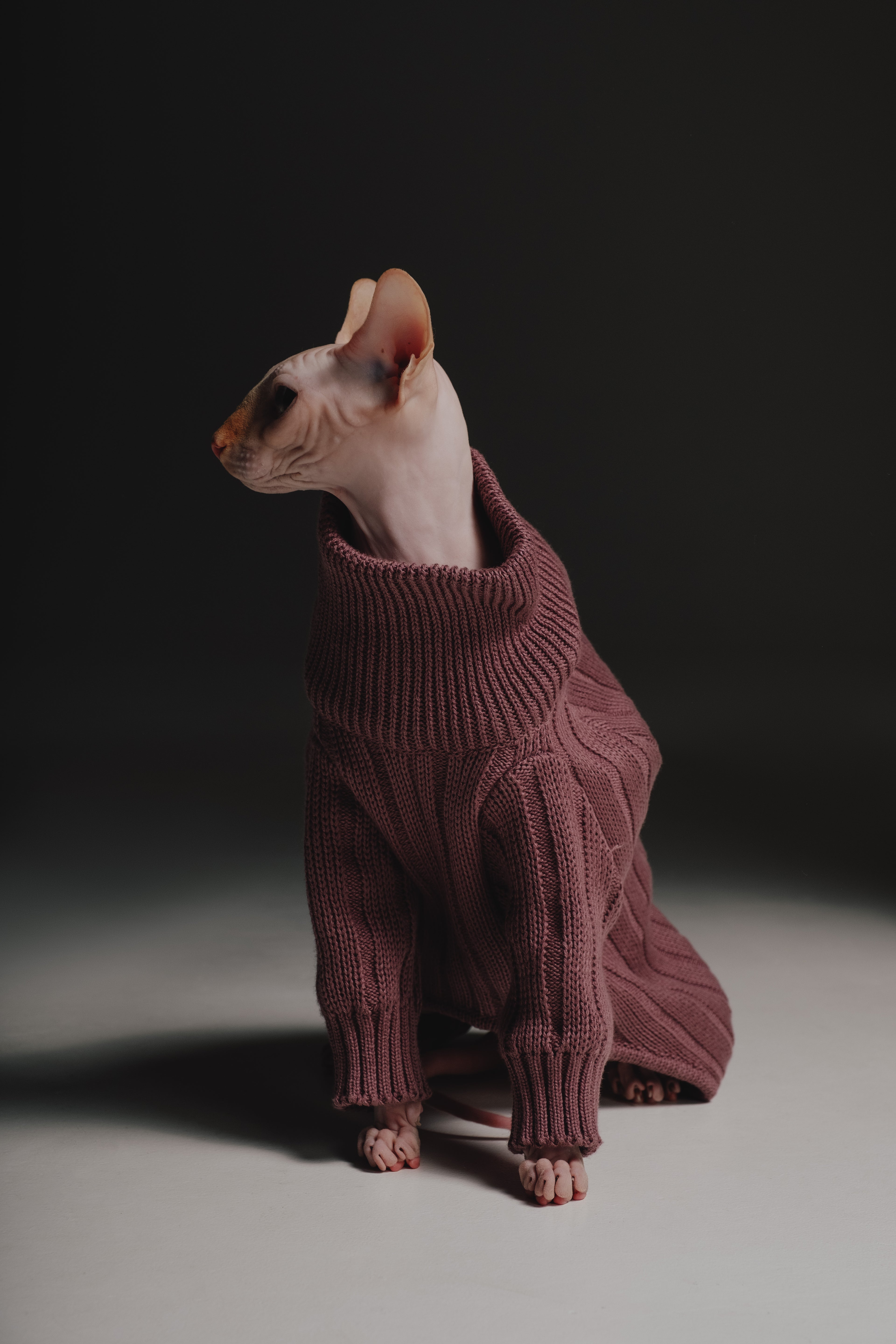 Lavender sweater