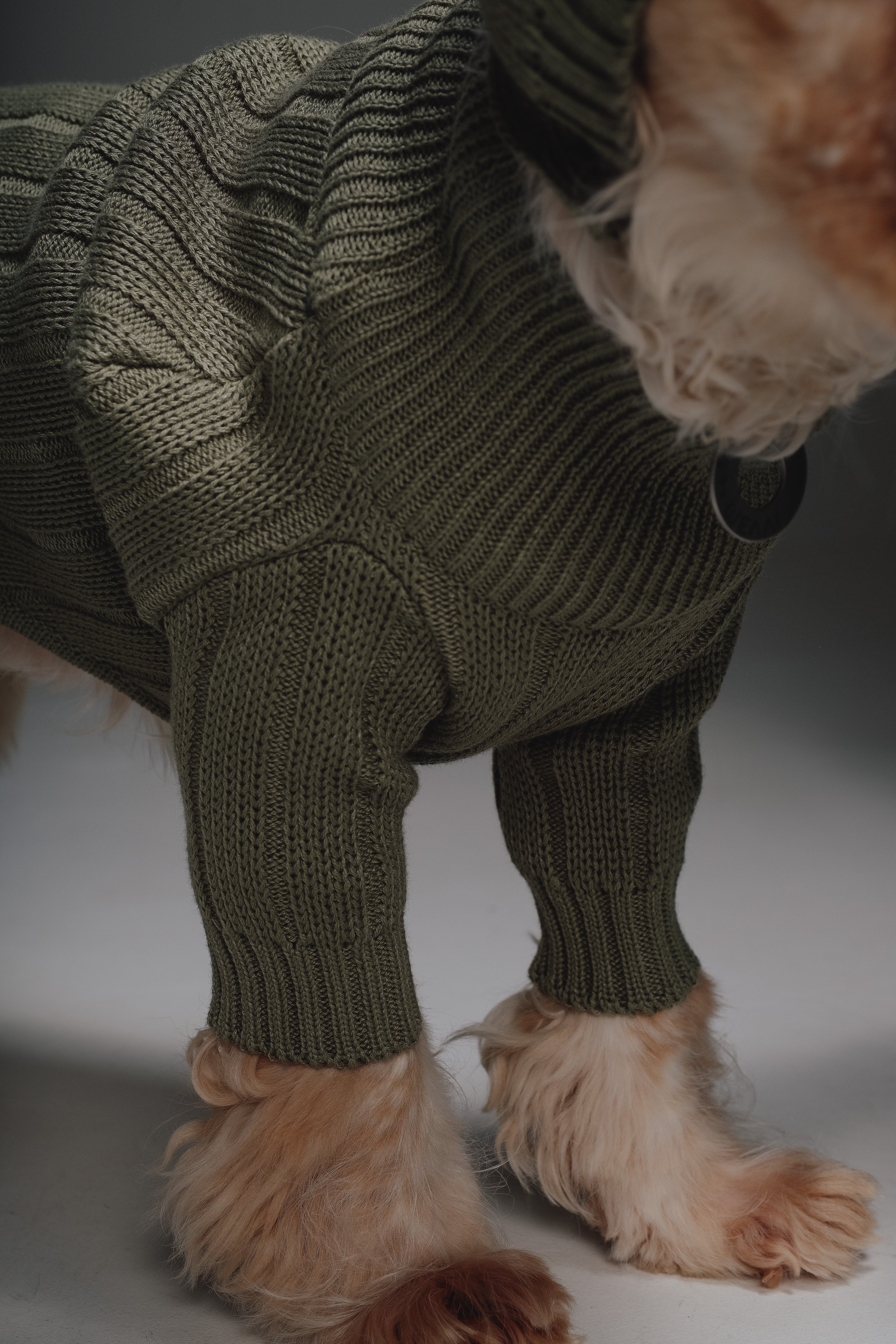 Olive sweater