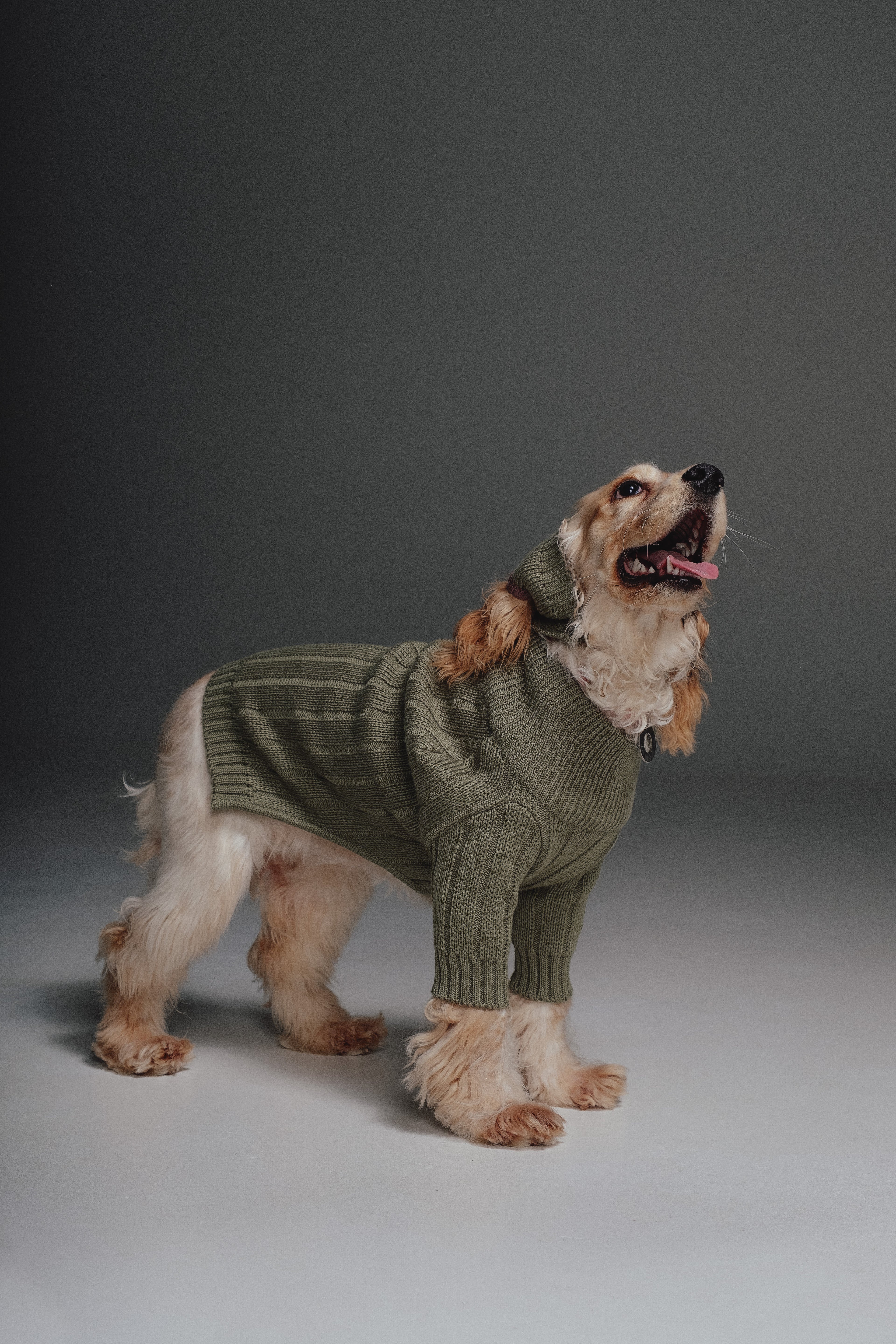 Olive sweater