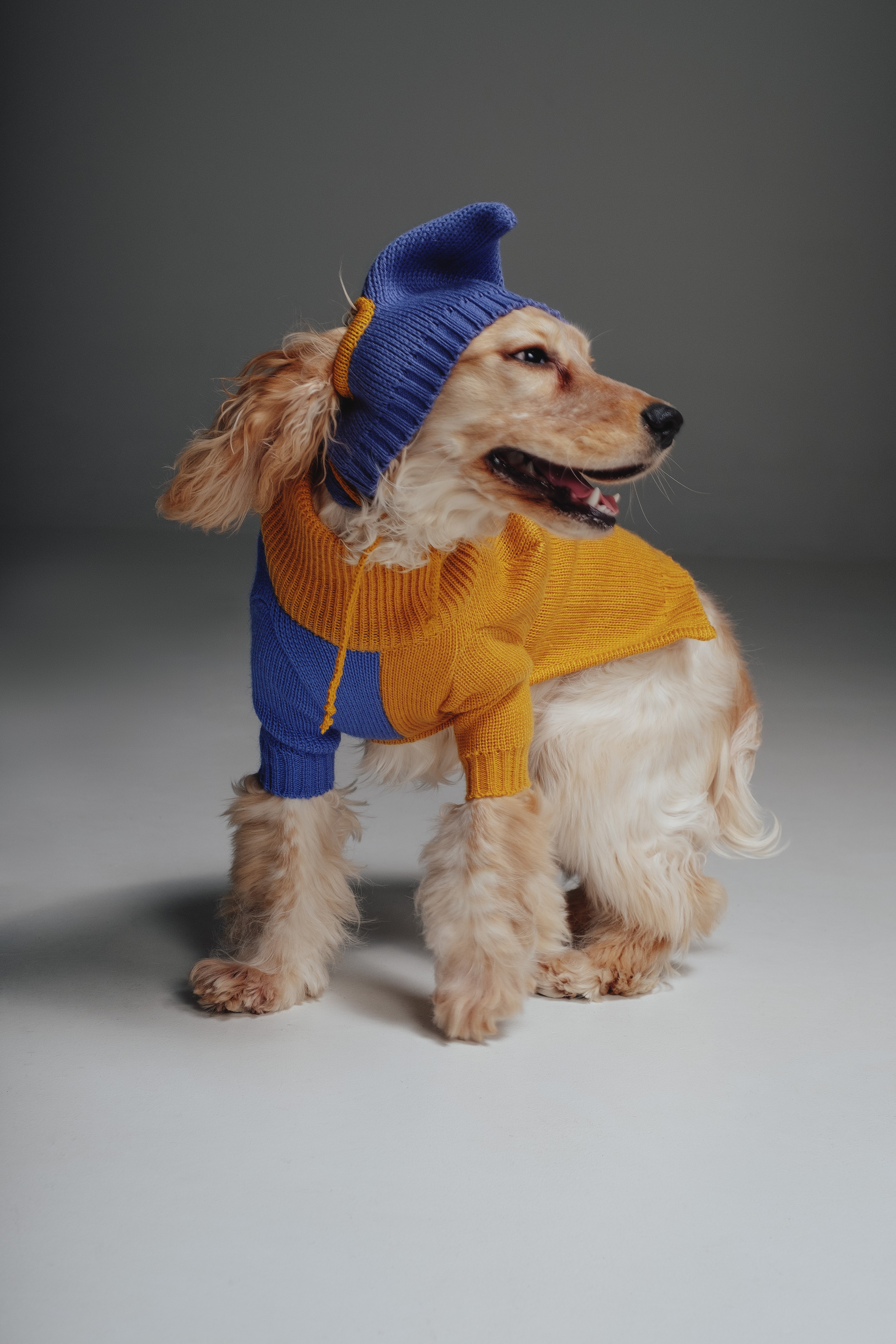 Yellow&Blue sweater