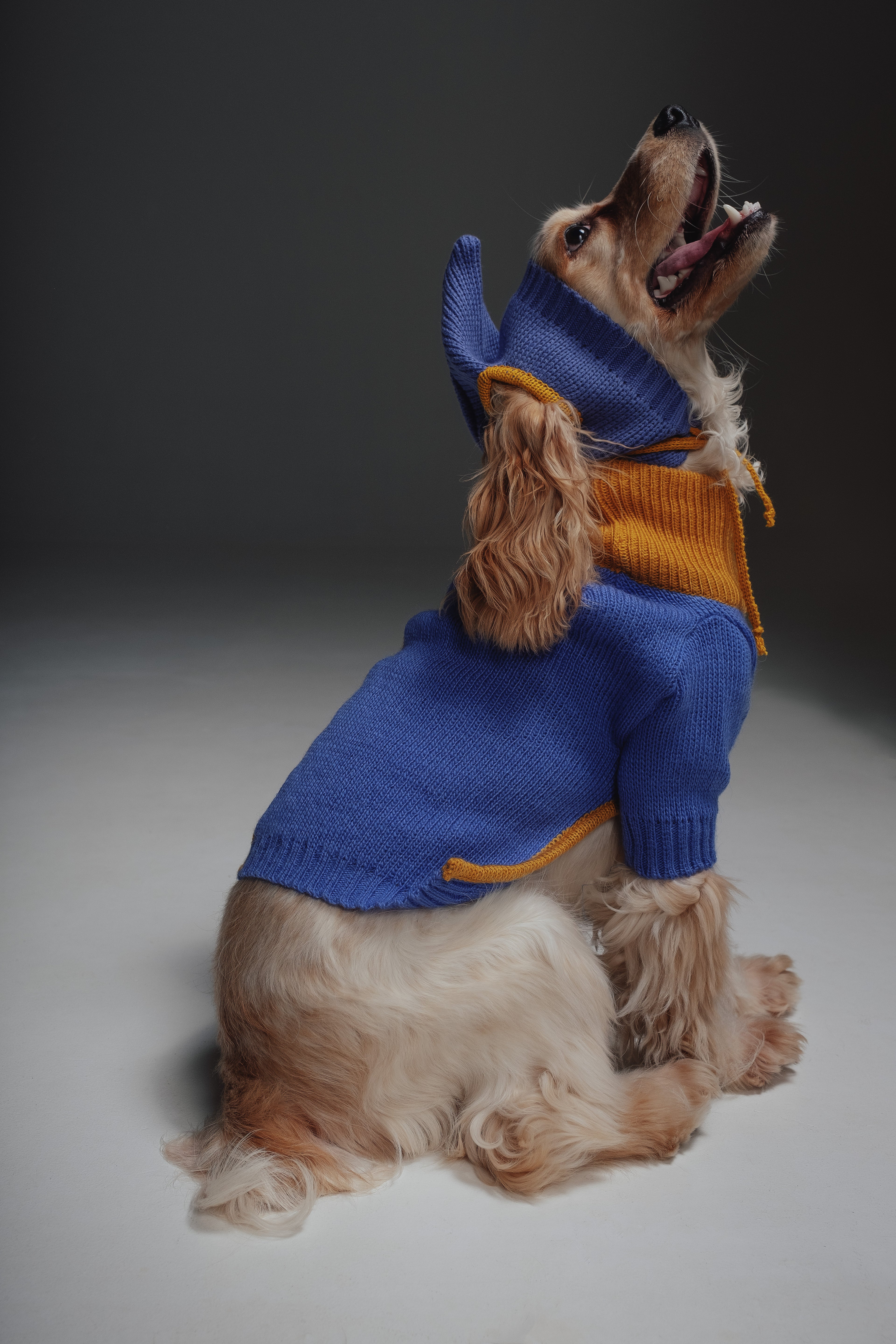 Yellow&Blue sweater