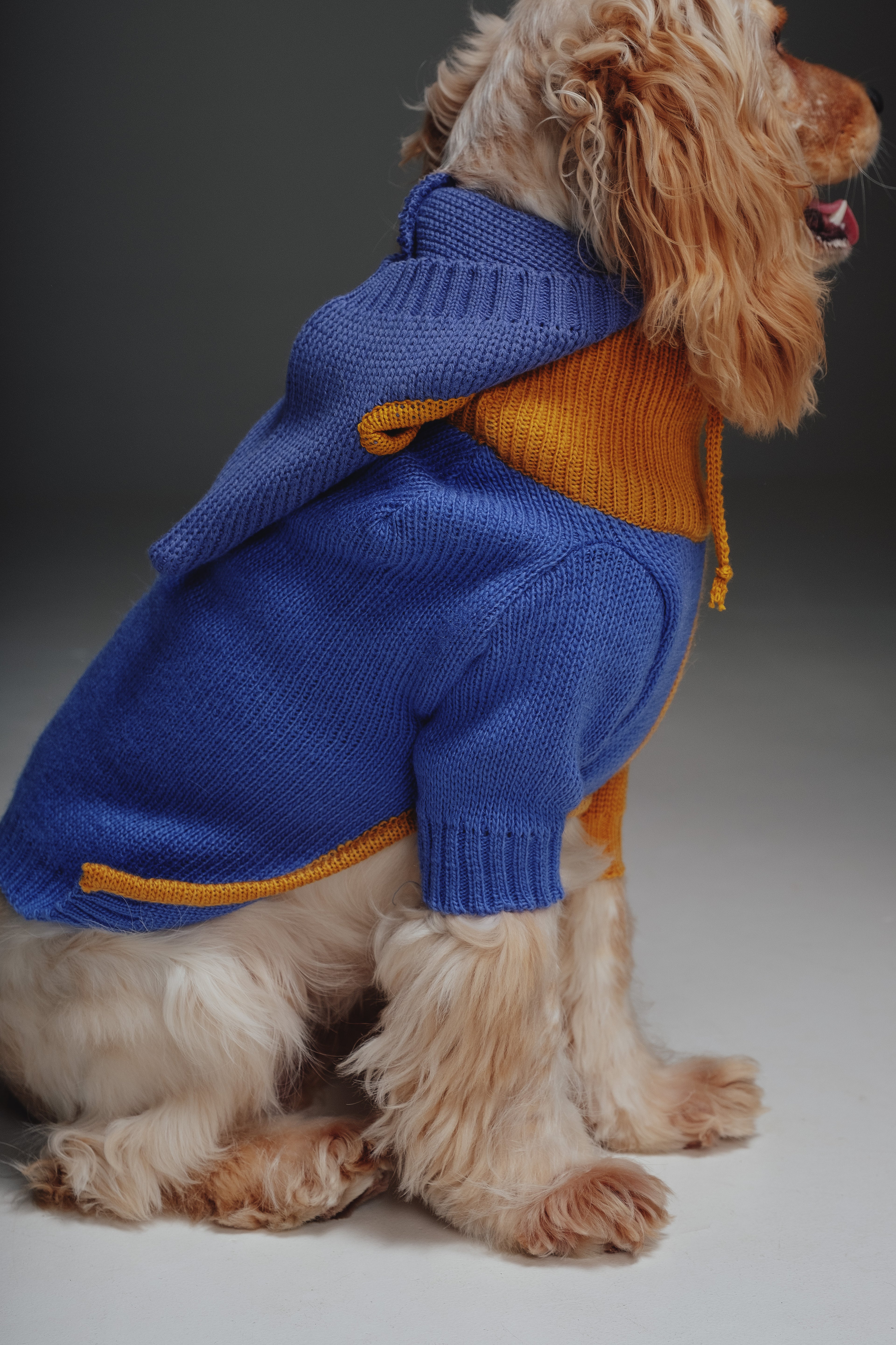 Yellow&Blue sweater
