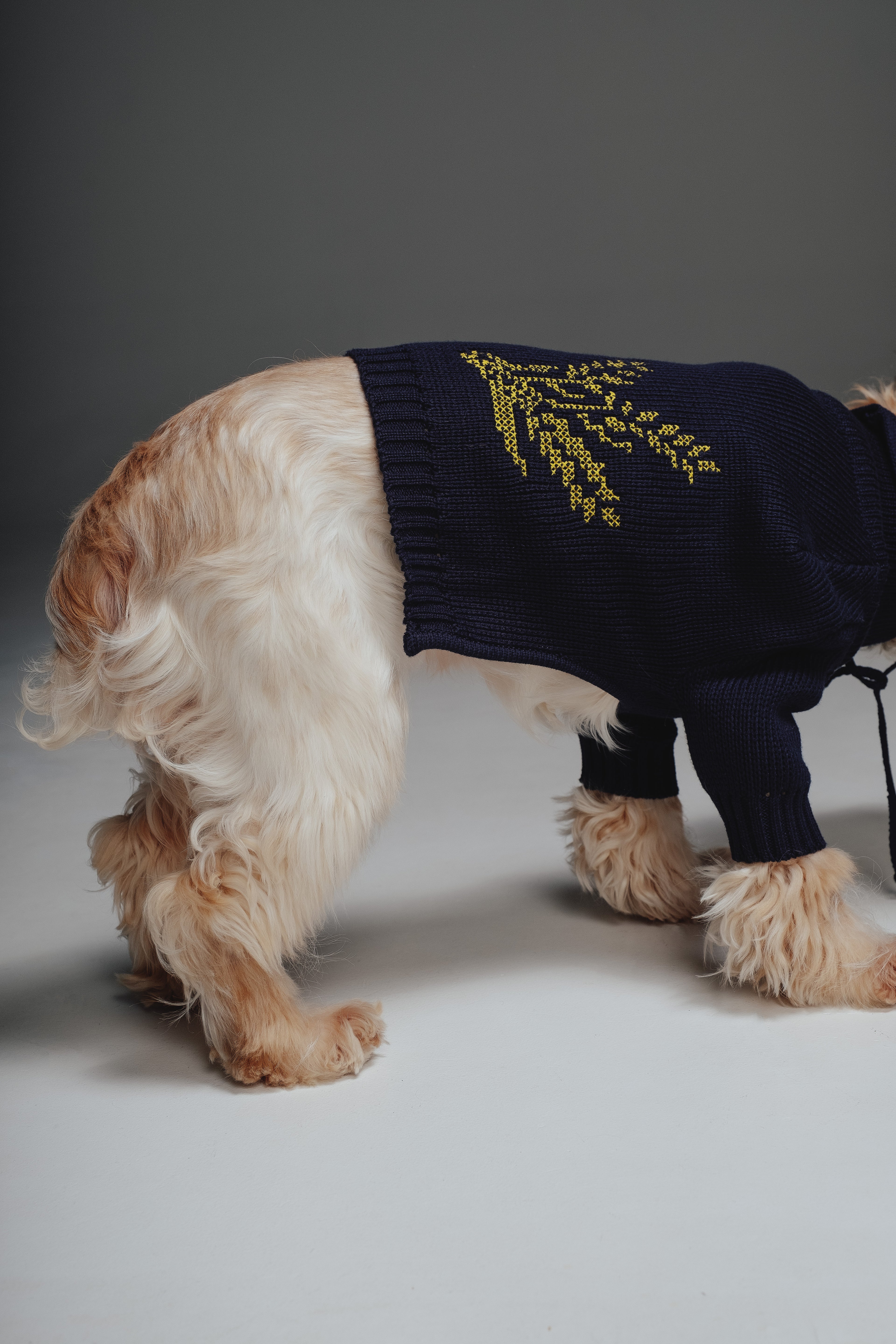 Kolos sweater