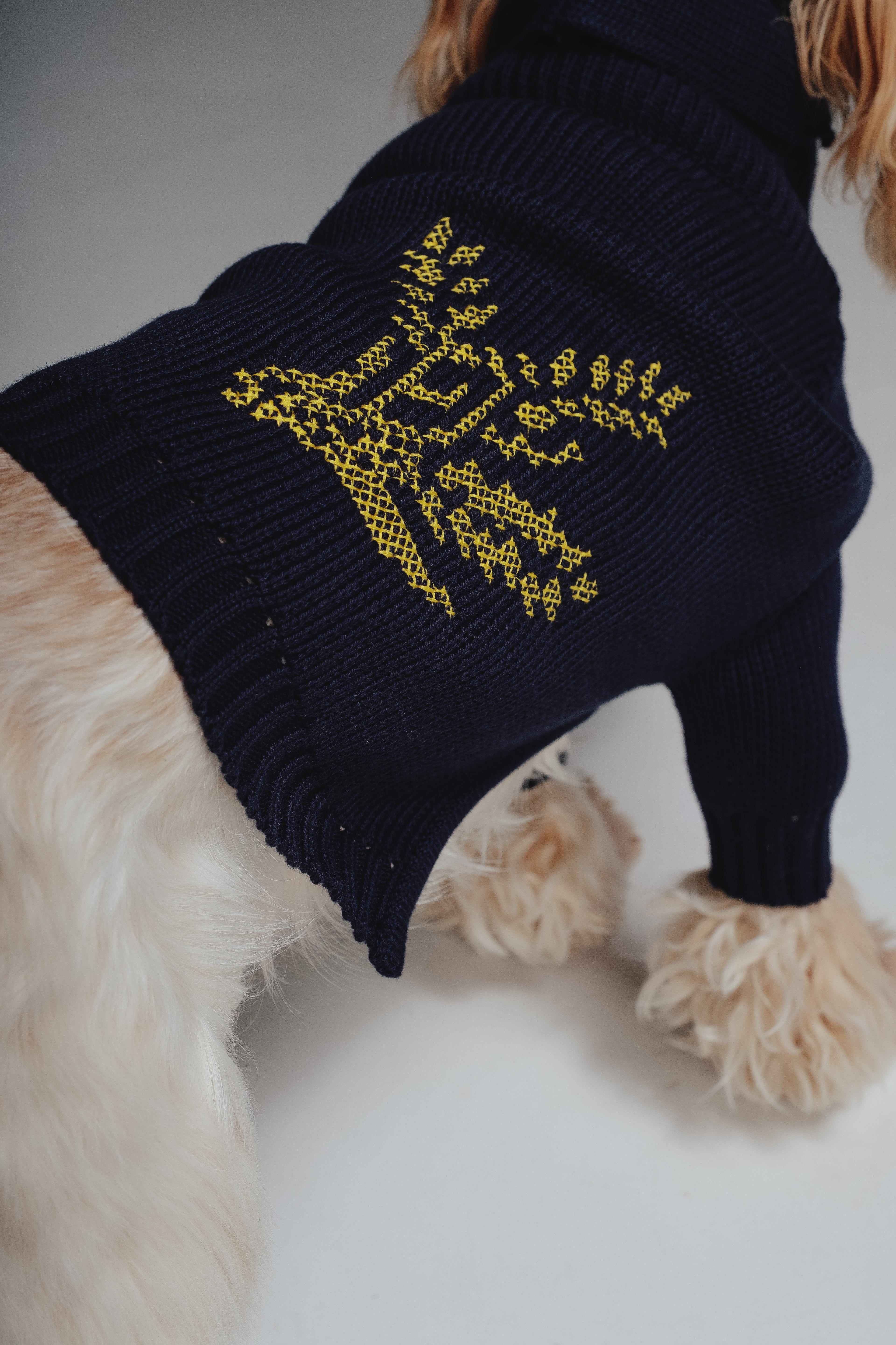 Kolos sweater