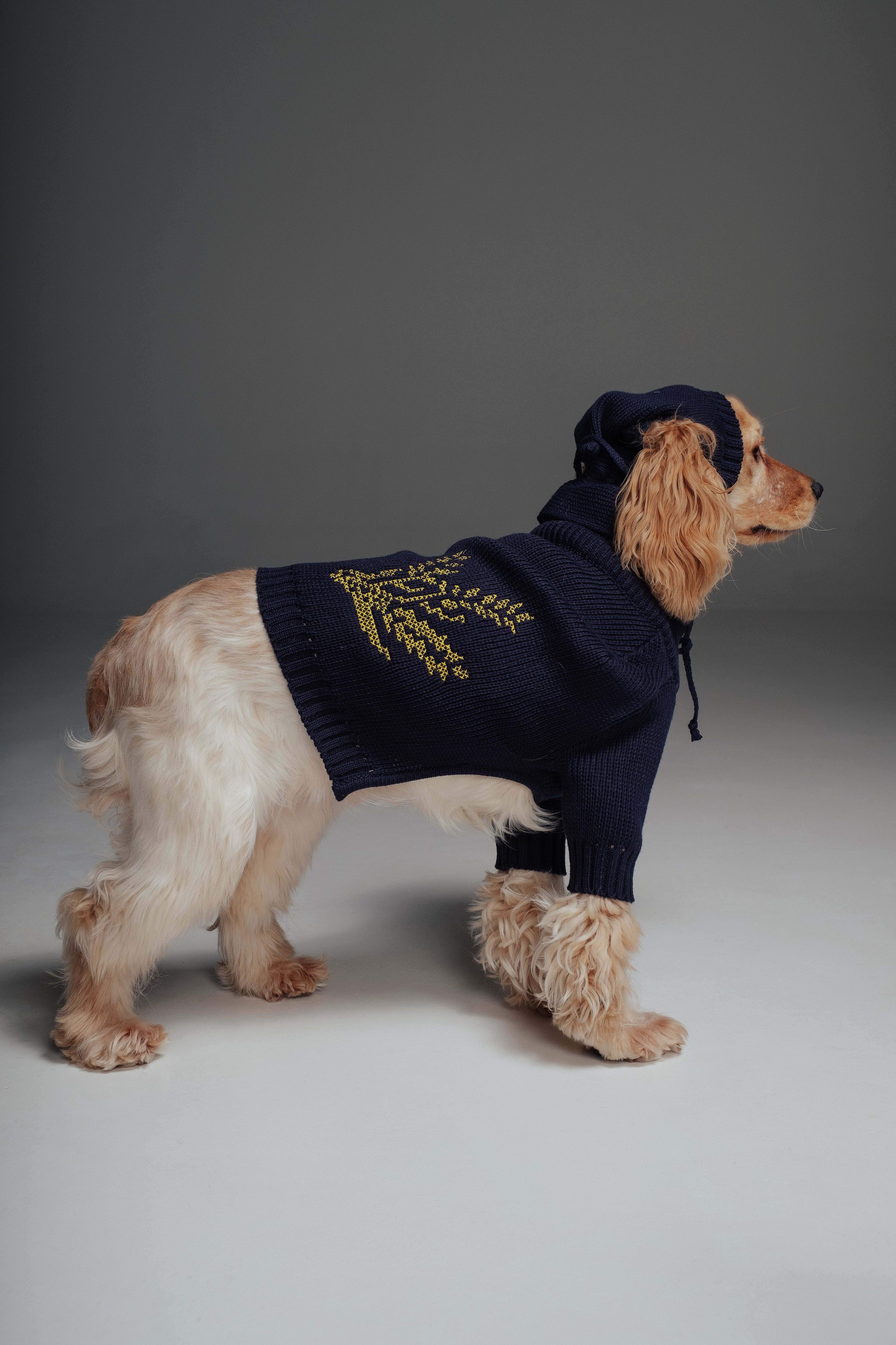 Kolos sweater