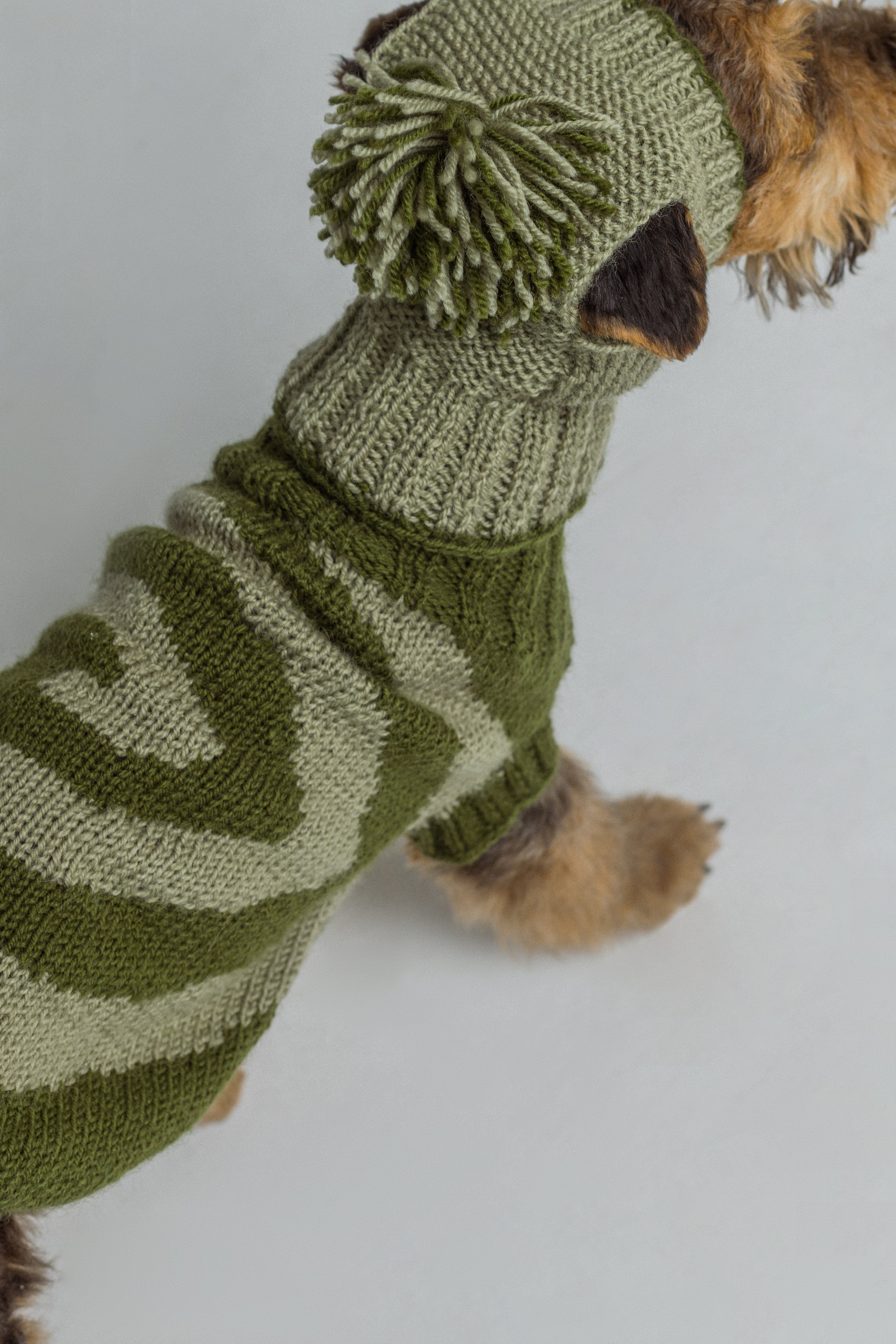Green snail sweater