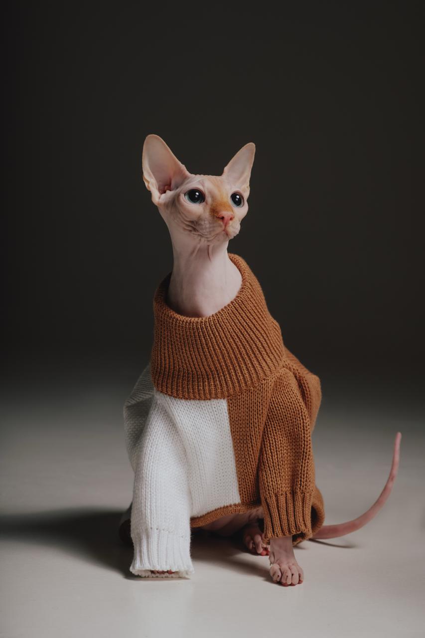 Brown&White sweater