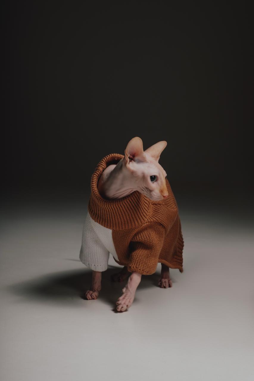 Brown&White sweater