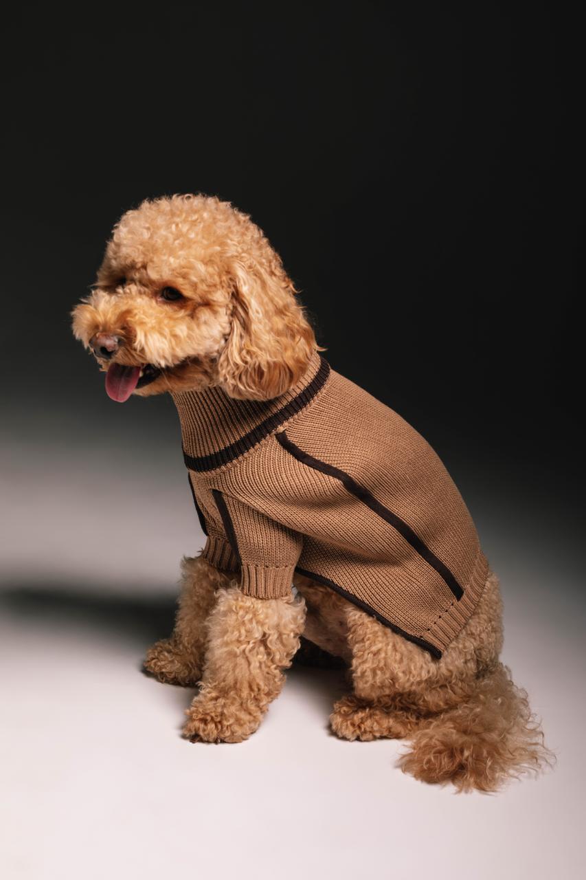 Coffee sweater