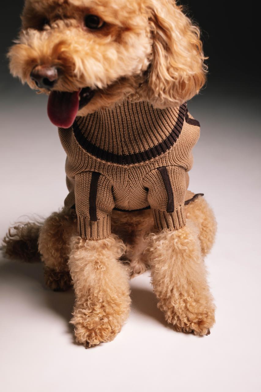 Coffee sweater