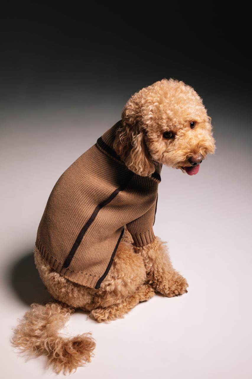 Coffee sweater