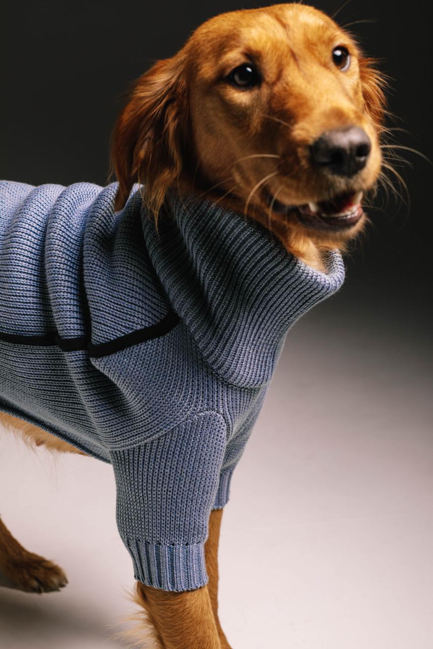 Heavenly sweater