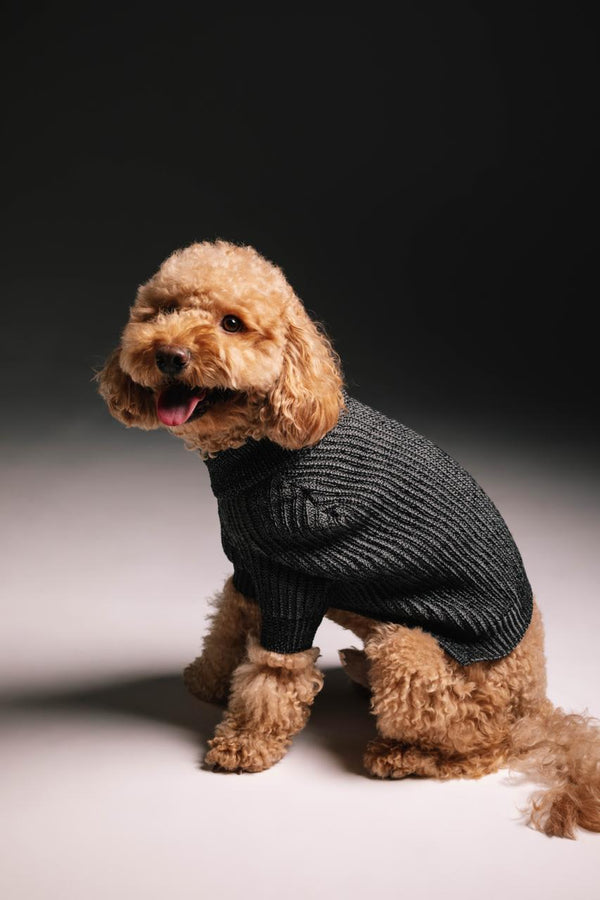 Dusty sweater