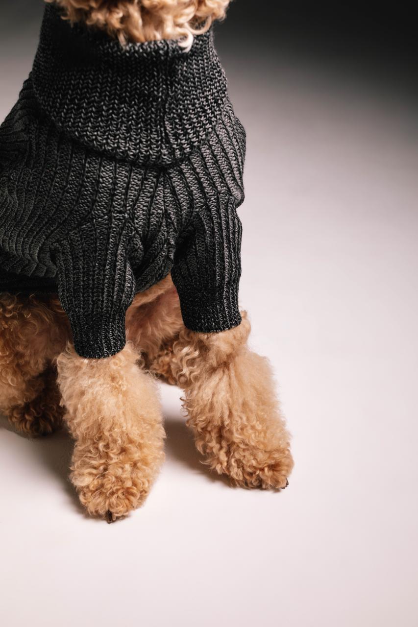Dusty sweater