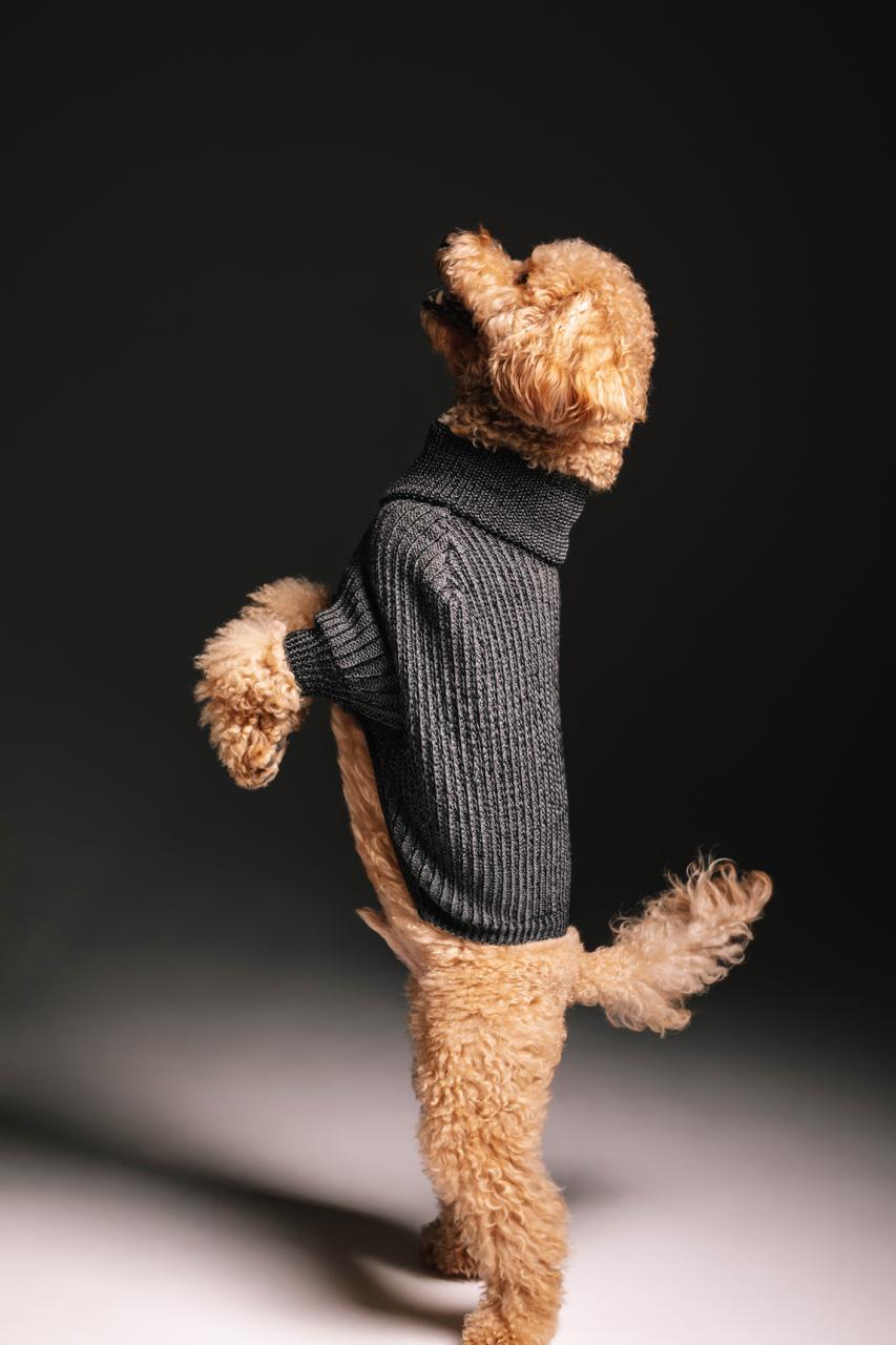 Dusty sweater