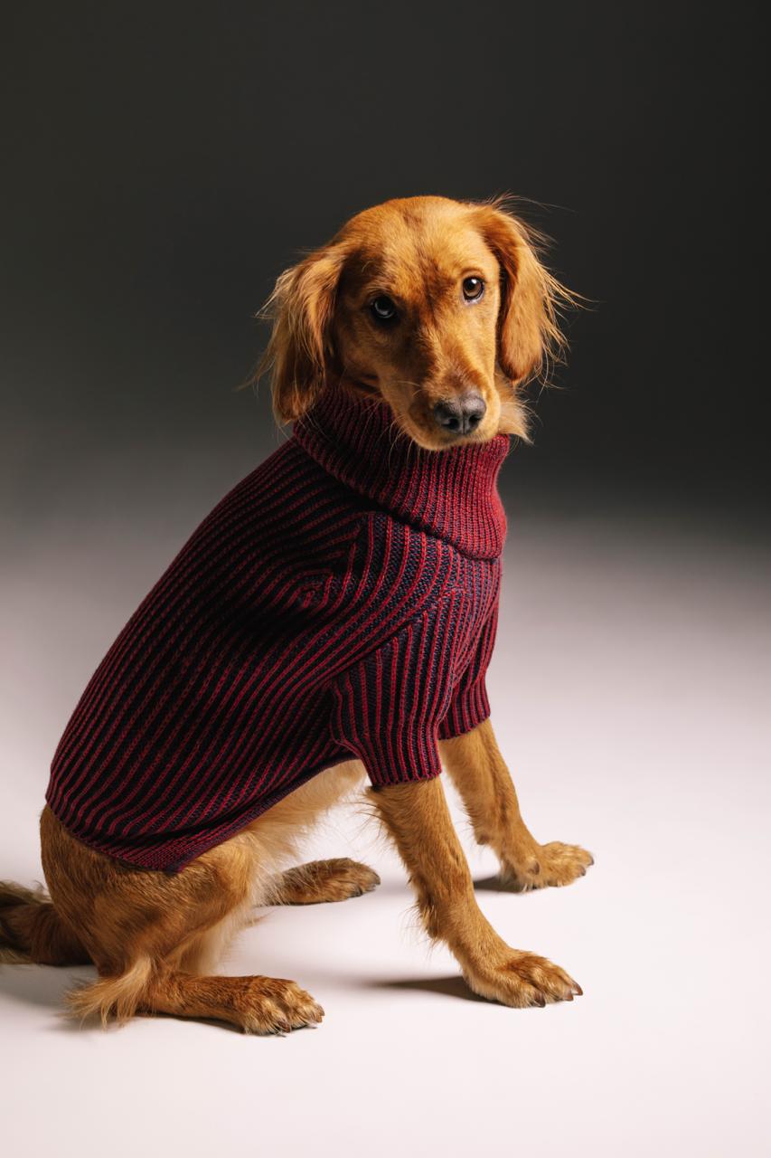 Merry sweater