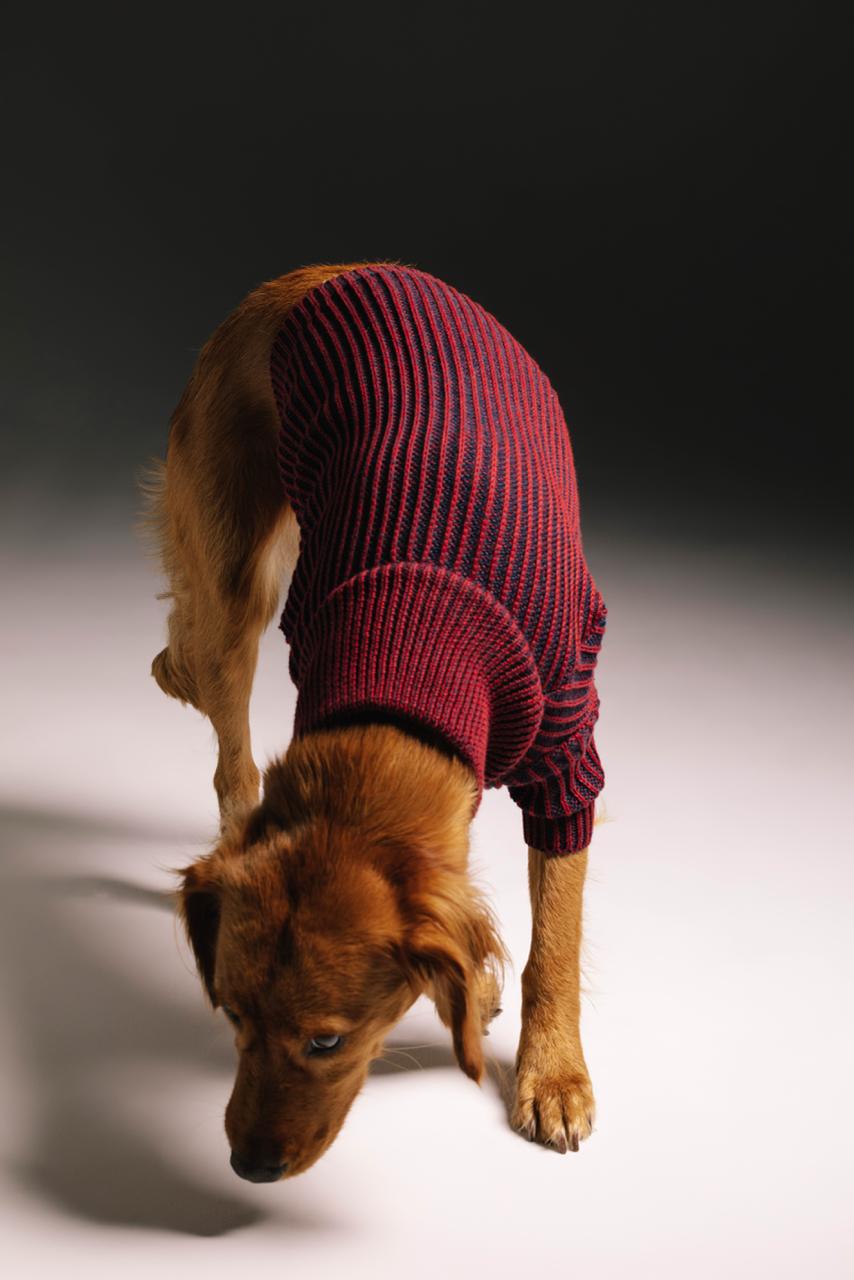 Merry sweater