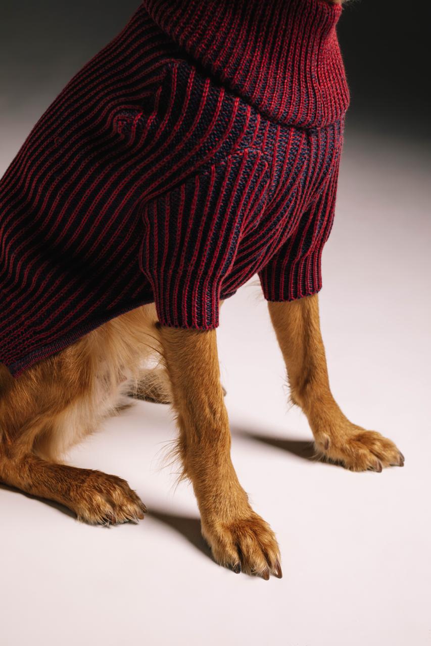Merry sweater