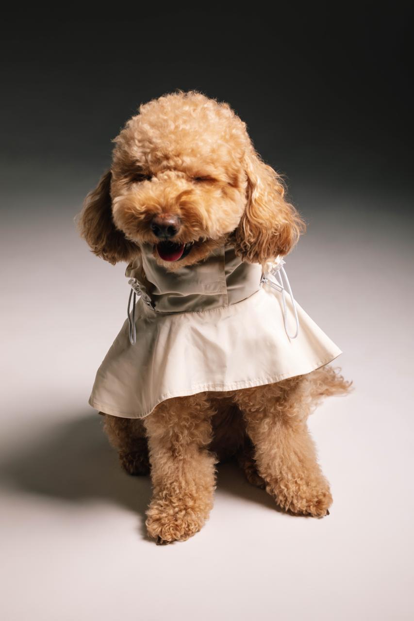 Kalyaka raincoat