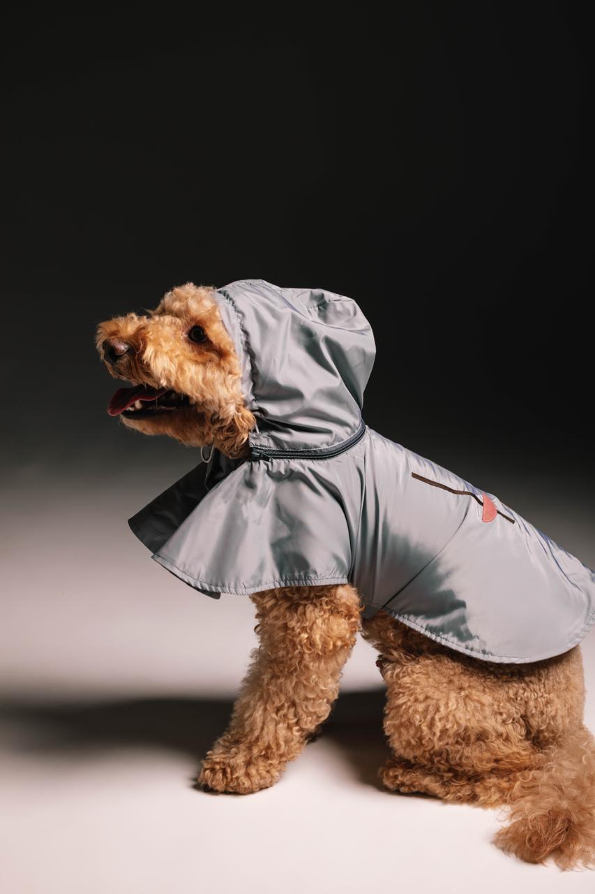 Livid figures raincoat