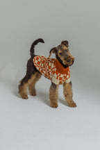 Orange cubes sweater