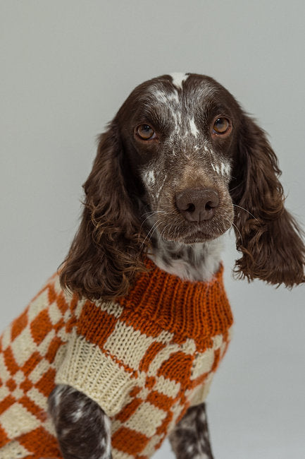 Orange cubes sweater