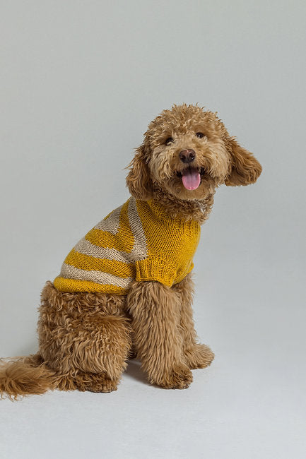 Yellow snail sweater