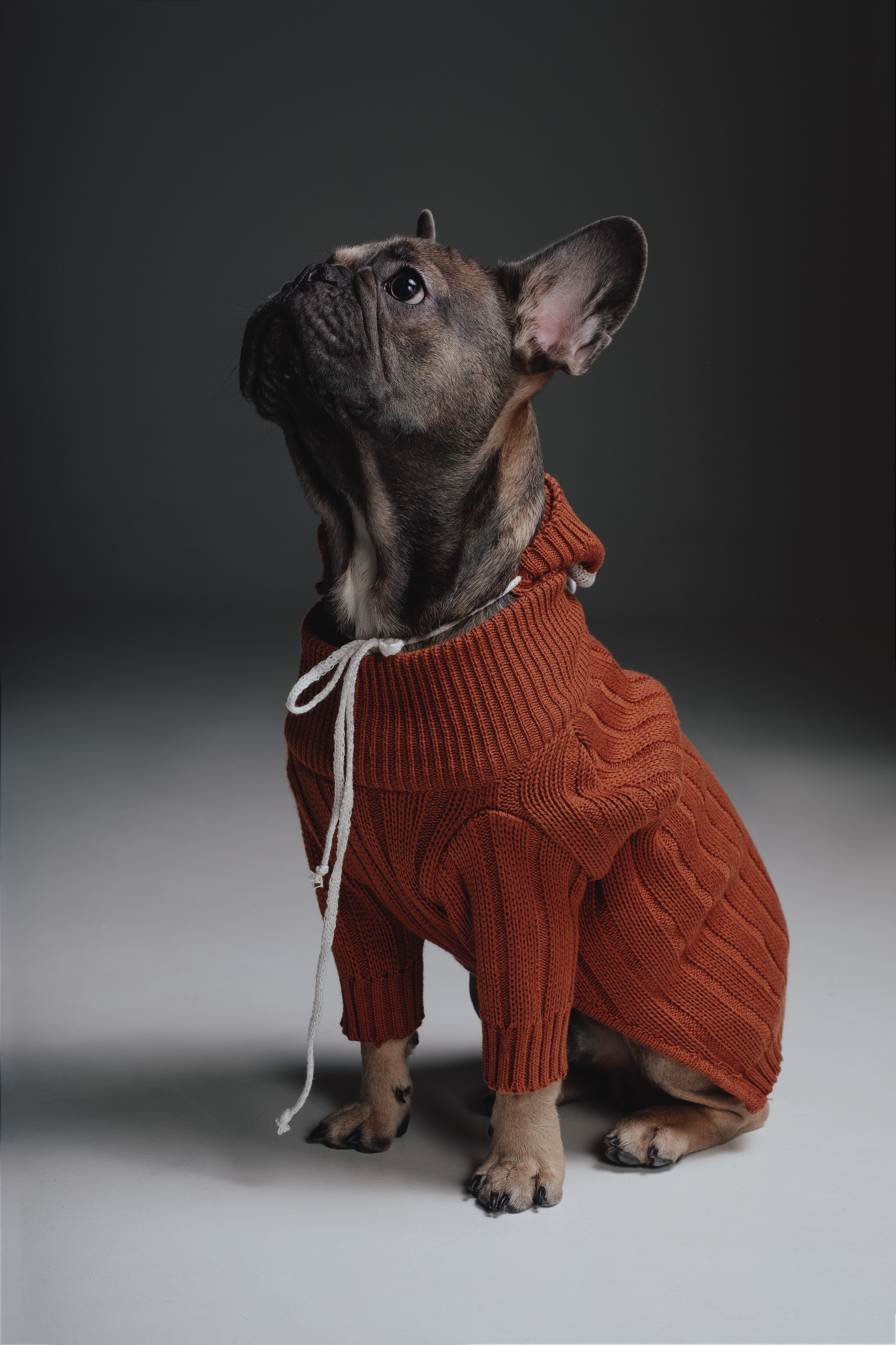 Terracotta sweater