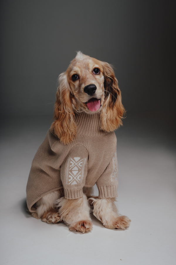 Beige embroidery sweater