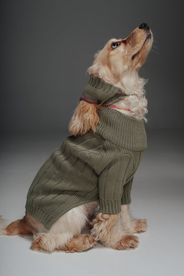Olive sweater