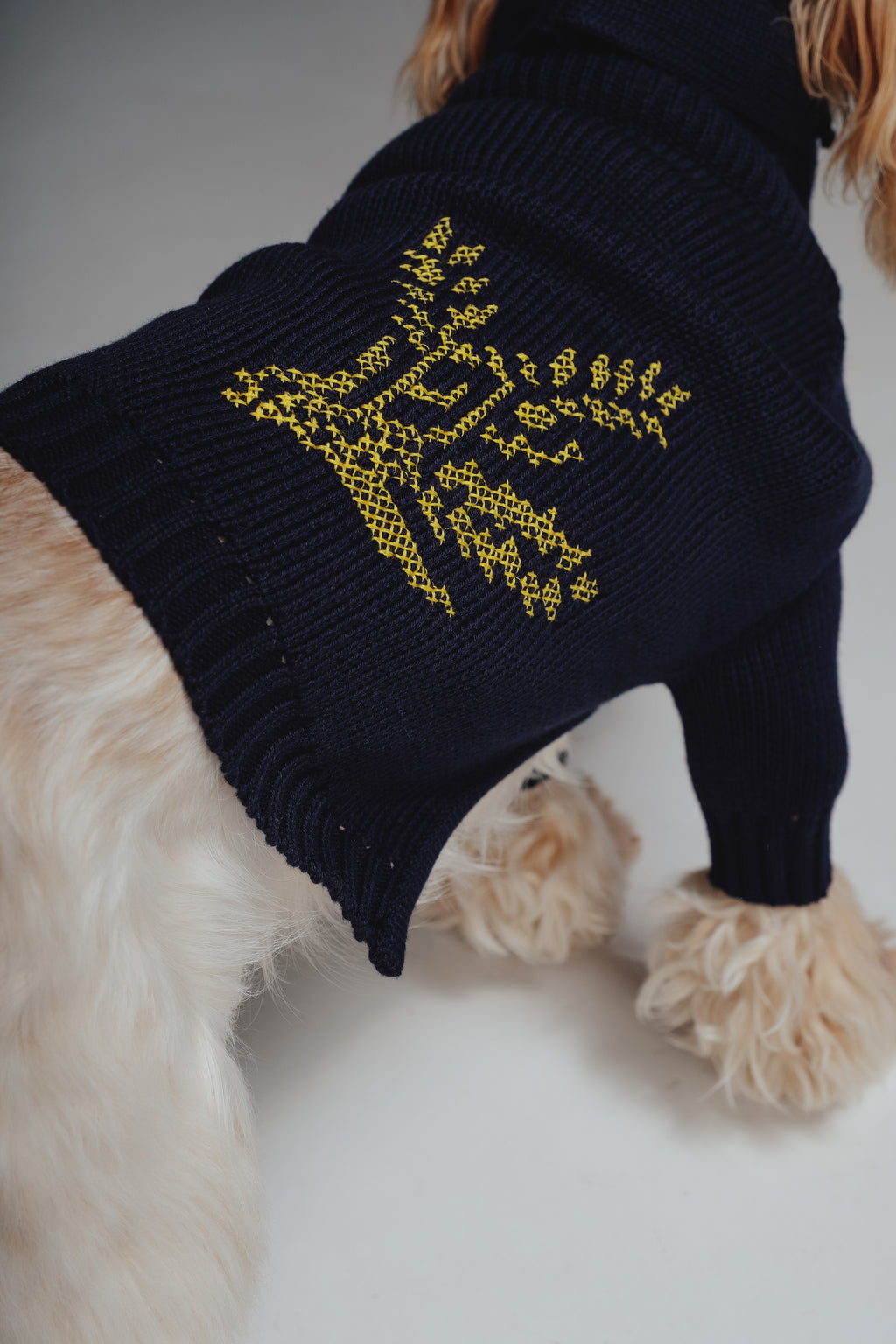 Kolos sweater