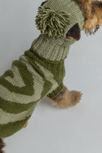 Green snail sweater