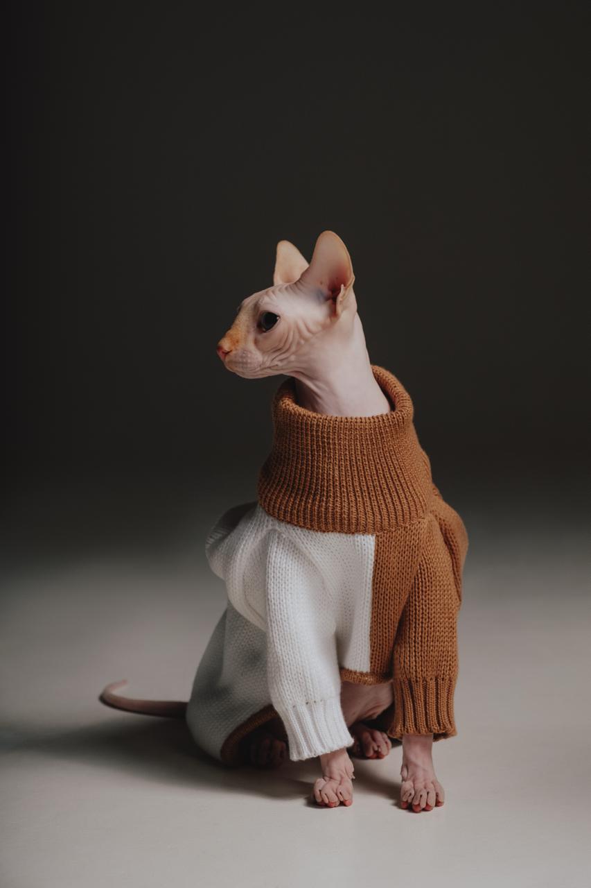 Brown&White sweater