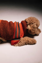 Melange orange sweater