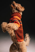 Melange orange sweater