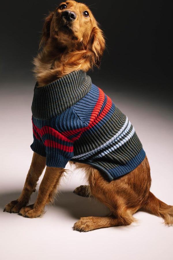 Multicolor melange sweater