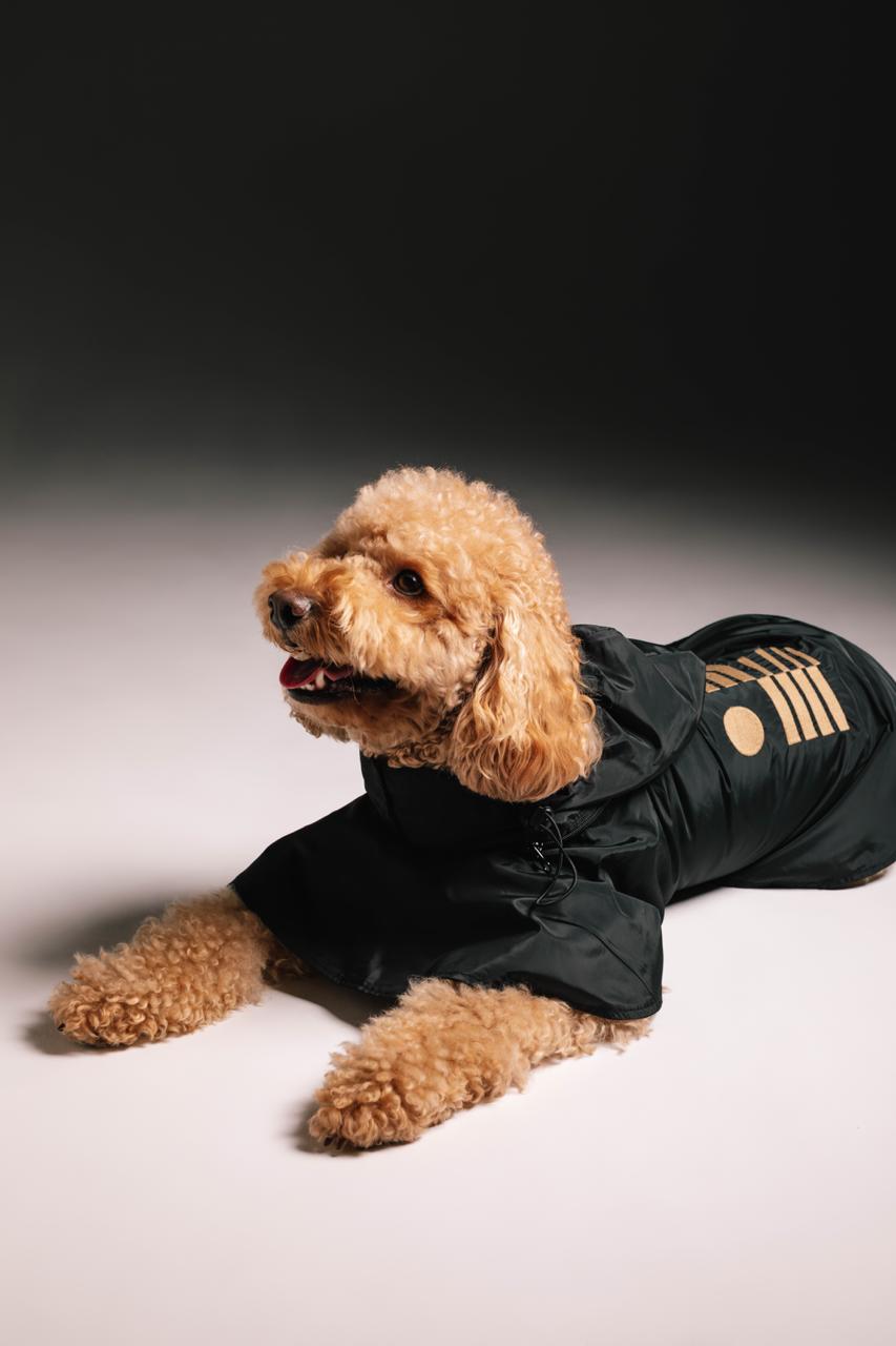 Bronze figures raincoat