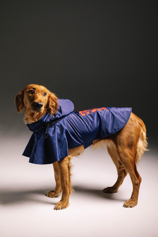 Erythrocyte raincoat