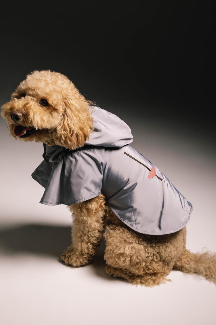 Livid figures raincoat