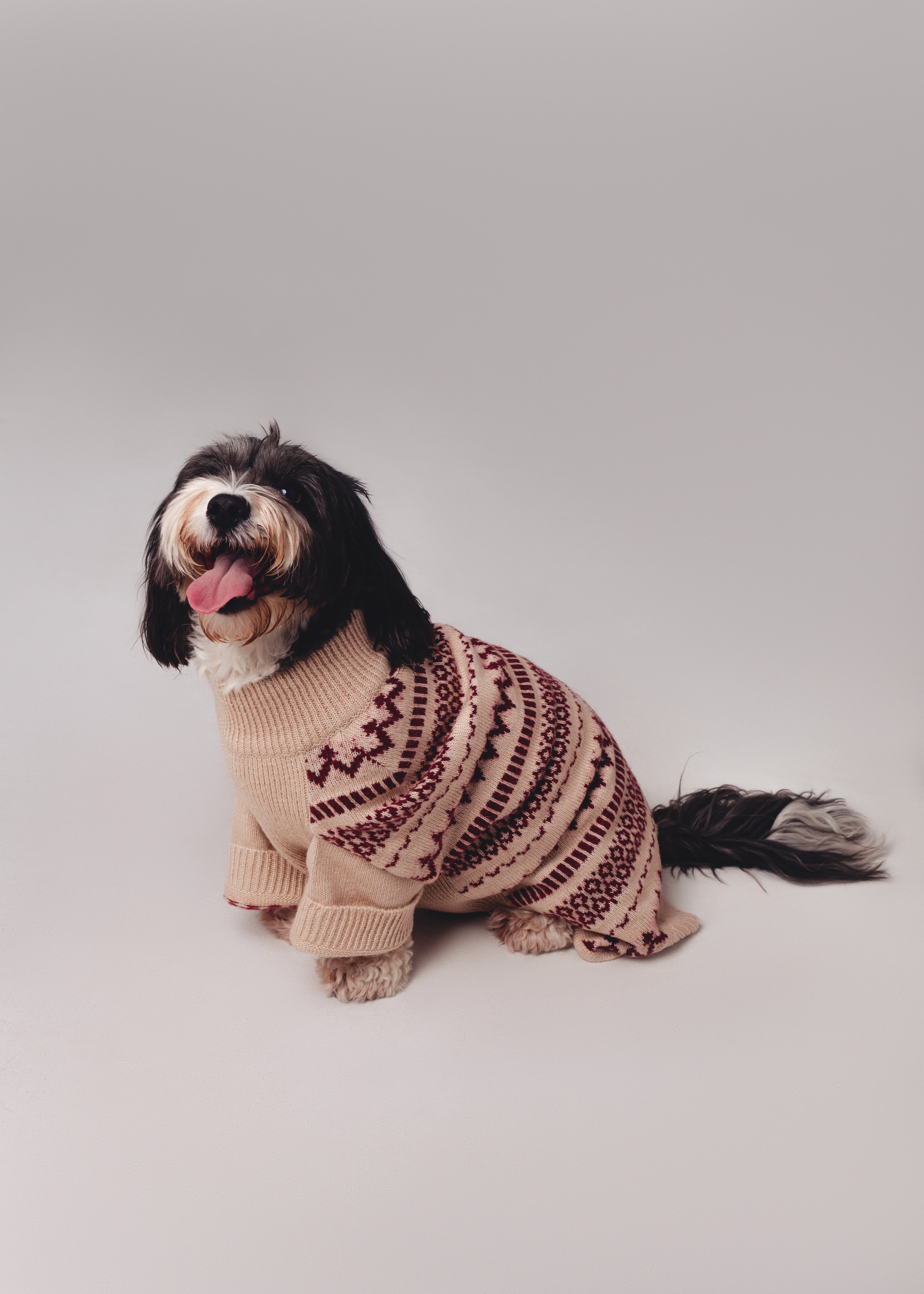 Holiday Spirit Sweater