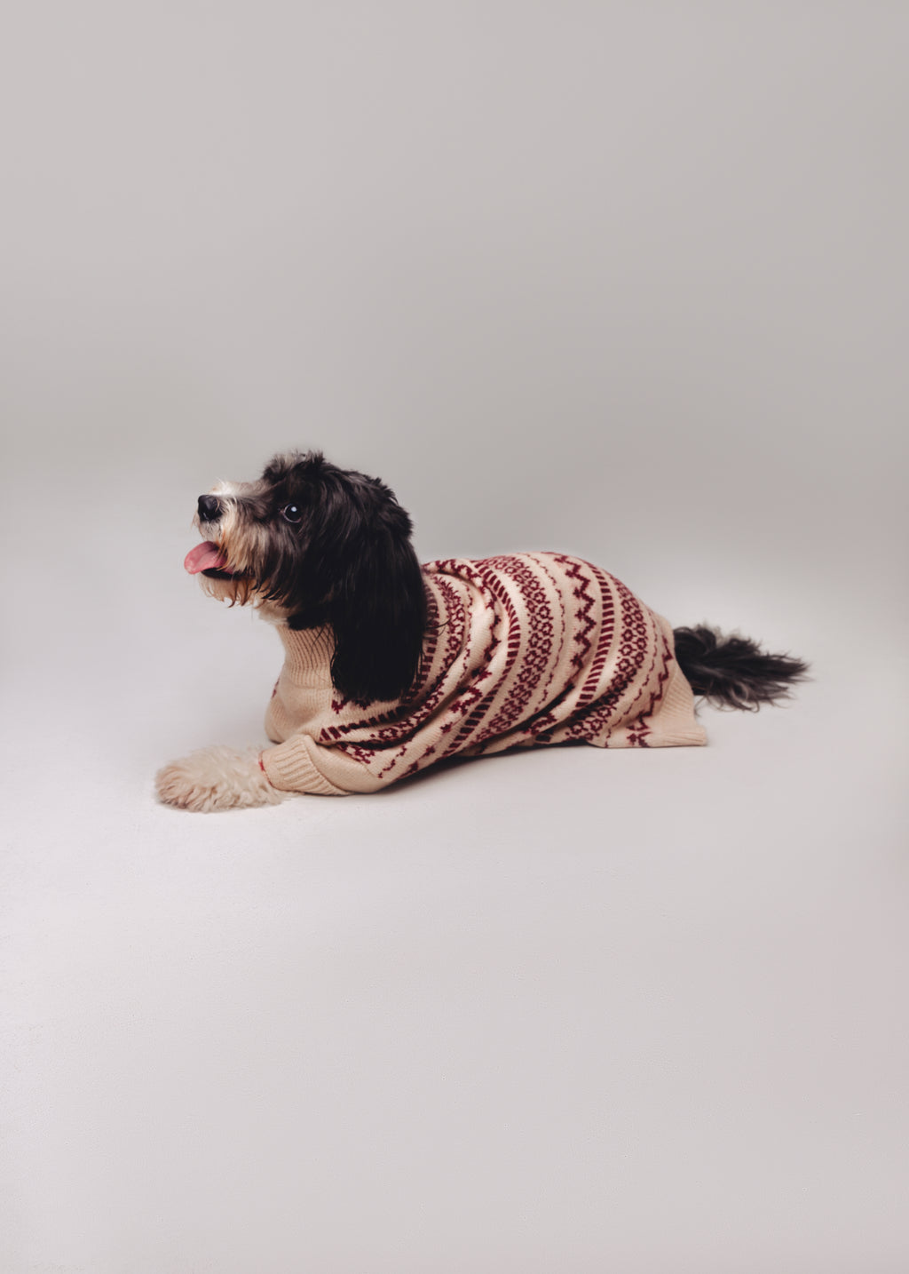 Holiday Spirit Sweater