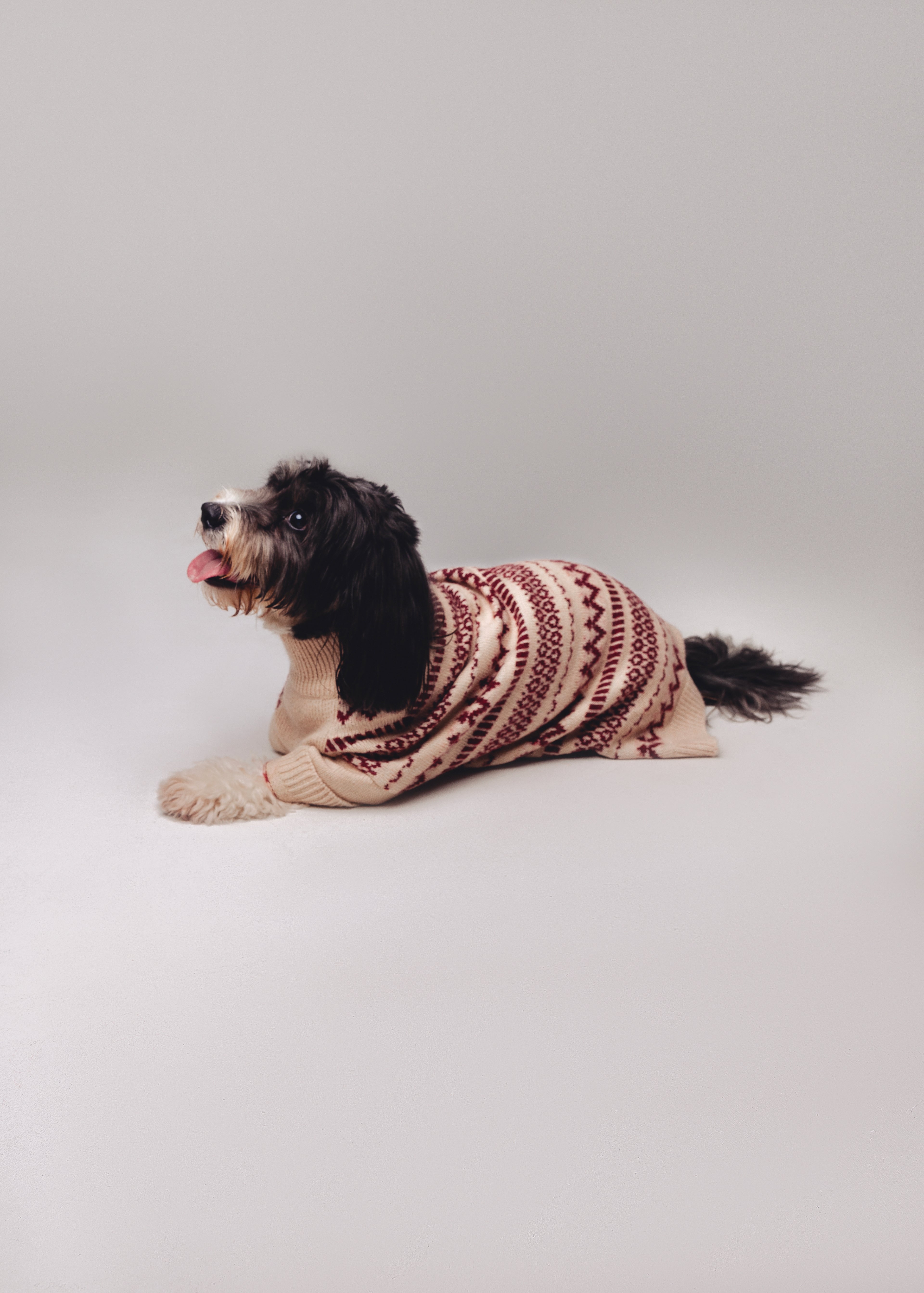 Holiday Spirit Sweater